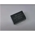 شريحة G24102SKGX - LAN