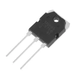 C5198