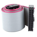 2x10 20 Pin idc Flat Cable